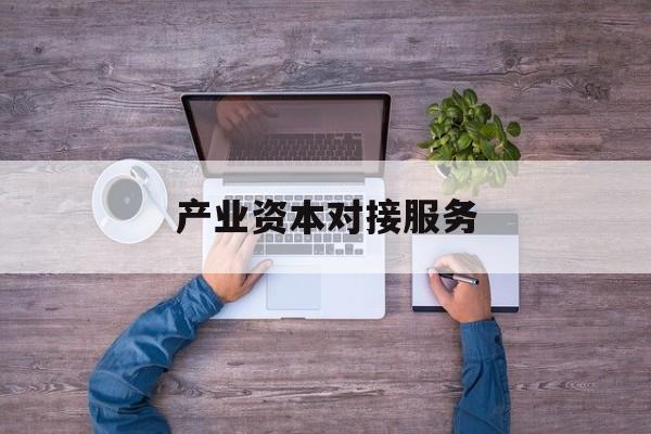 产业资本对接服务(产业资本对接服务包括哪些)阿拉尔市
